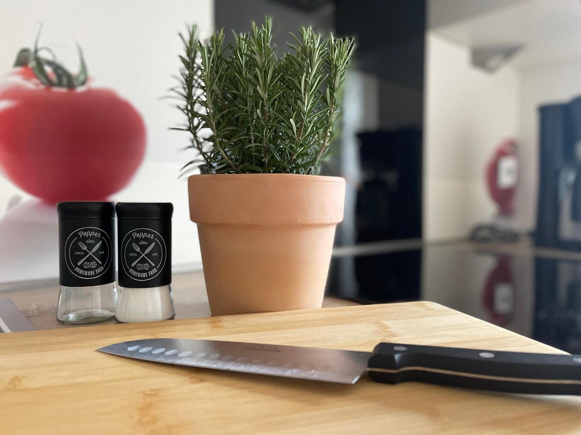 שטאדה Zeitapartments Am Fischmarkt מראה חיצוני תמונה